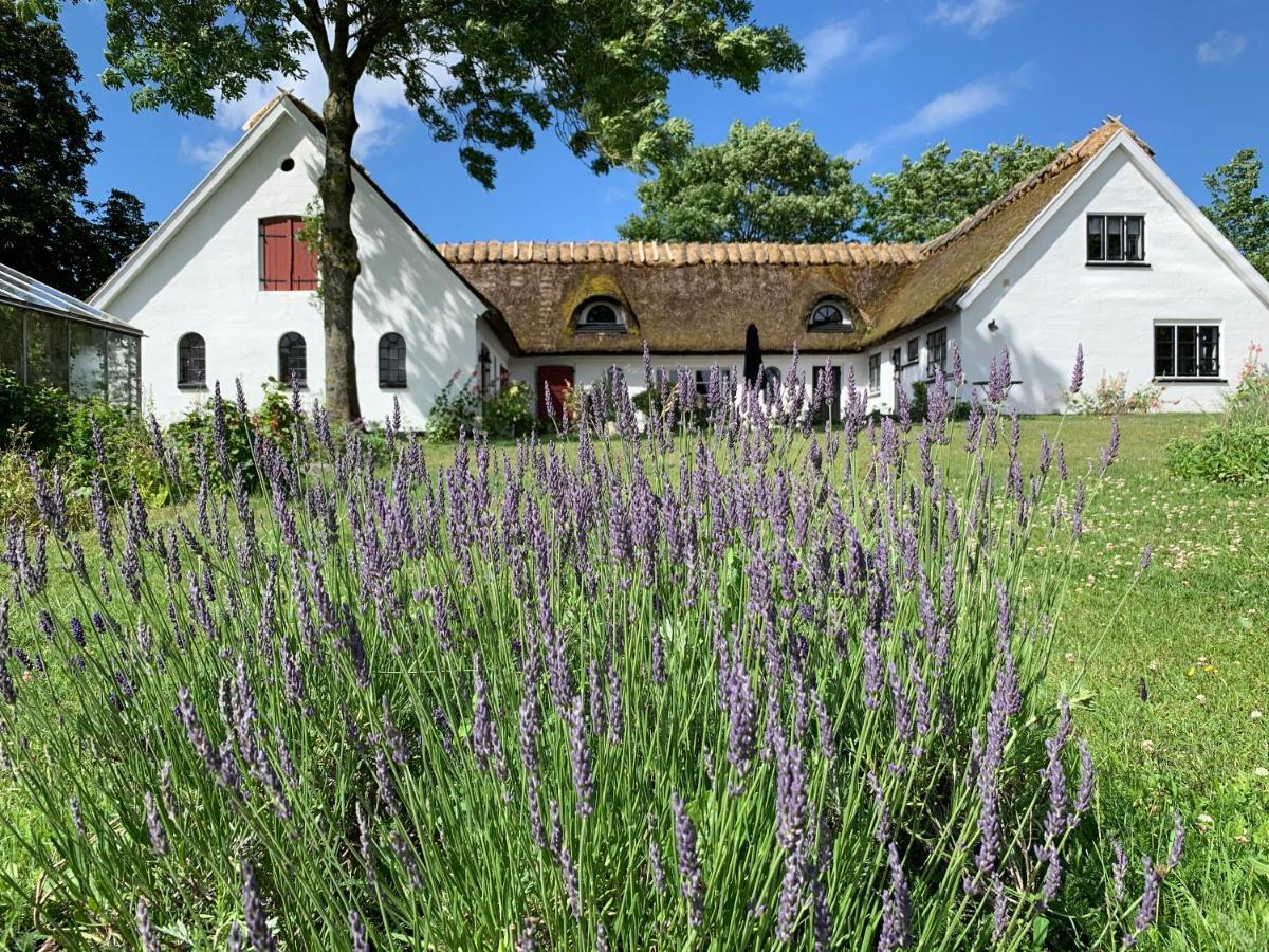 Mariegaardens Gaestehuse Hillerød Exterior foto